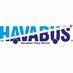 HAVABUS logo